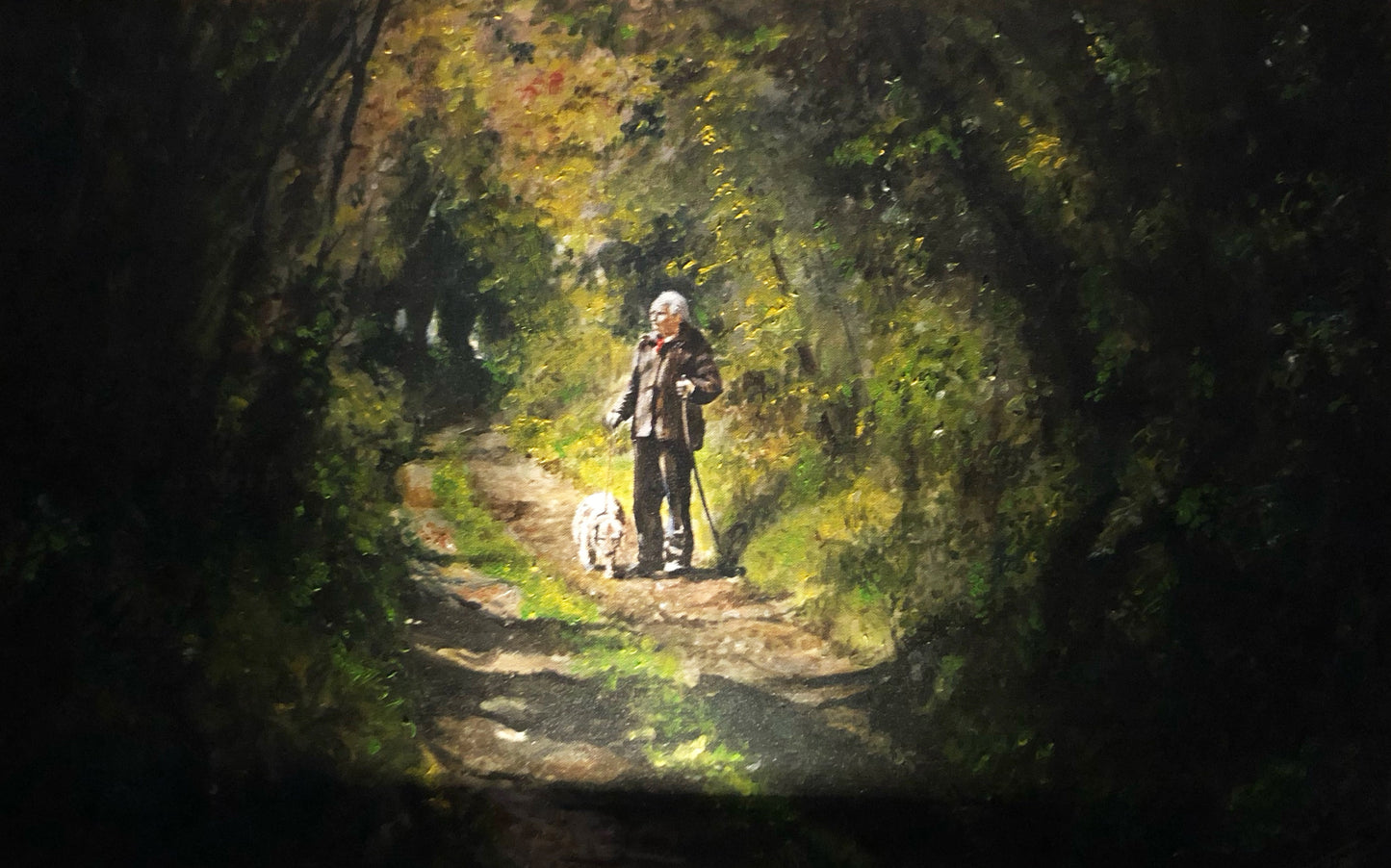 Gentle walk