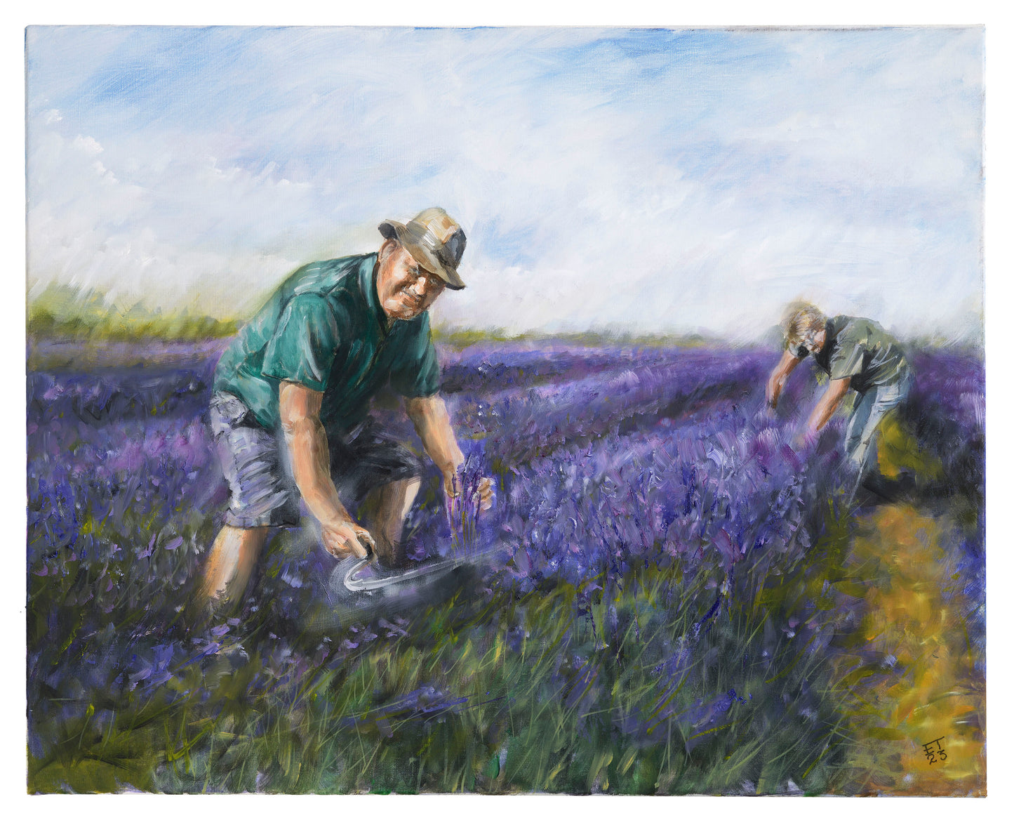 Lavender Harvest