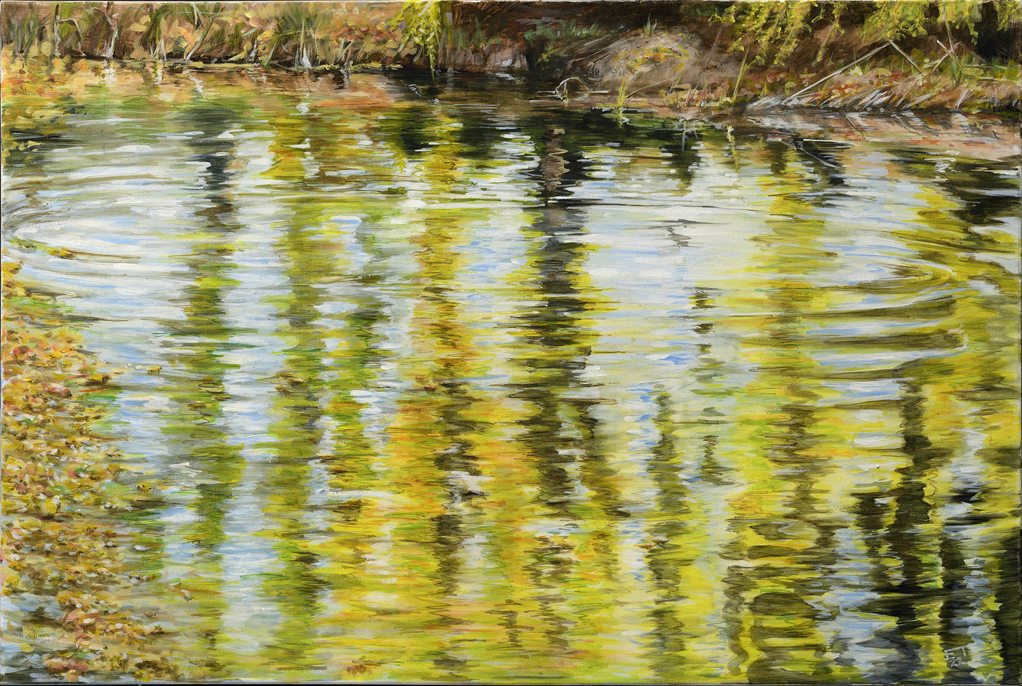 Willow Reflections