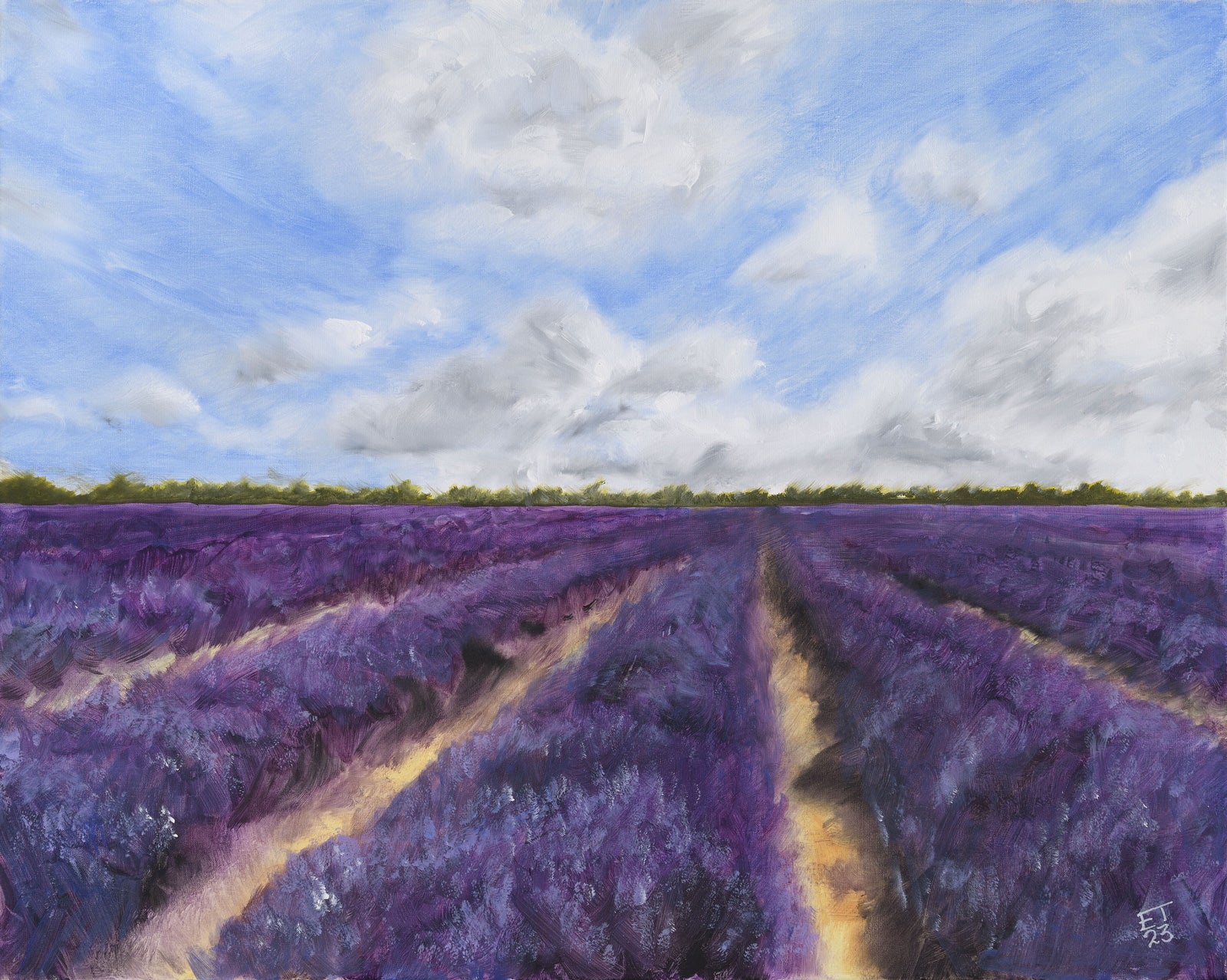 Lavender Field